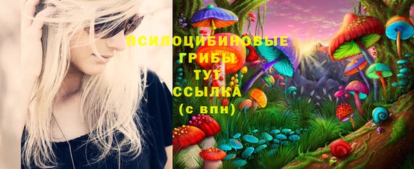 2c-b Кулебаки