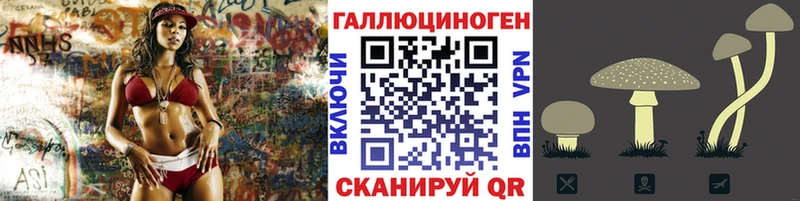 даркнет как зайти  Фокино  Галлюциногенные грибы Cubensis  цена наркотик 
